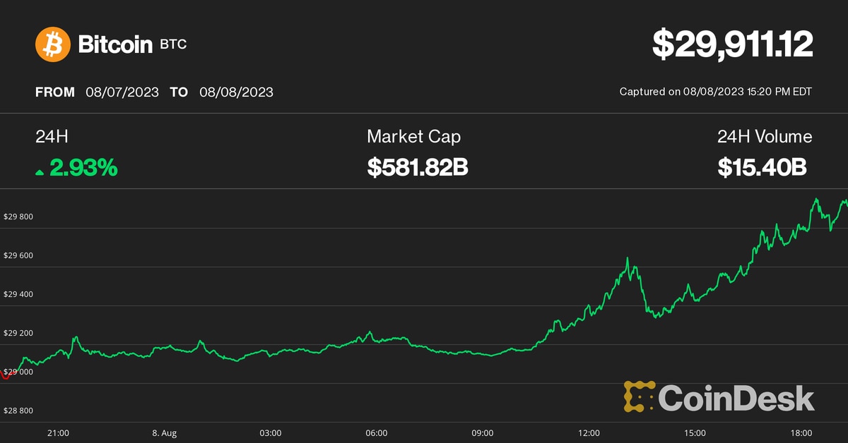 Bitcoin's Rally Toward $30K, PayPal's Stablecoin Fakes, and More
