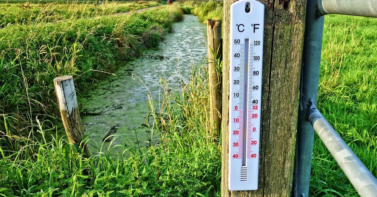 Celsius Token Holders Lose Bid to Hike CEL Valuation