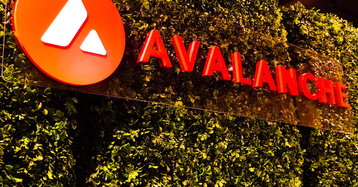 LayerZero, Stargate Propelled 2Q Growth in Avalanche Blockchain: Nansen