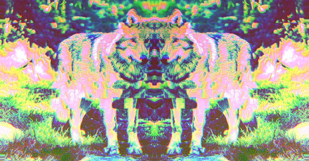 PayPal’s New Ethereum-Based Stablecoin and the ‘2 Wolves’ Inside Crypto