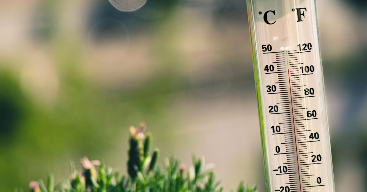 Bitcoin (BTC) Price Shows No Signs of Overheating, Despite Doubling This Year: Analysis