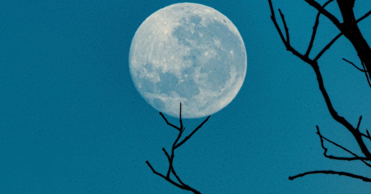 Atmosphere (Shutterstock/CoinDesk)