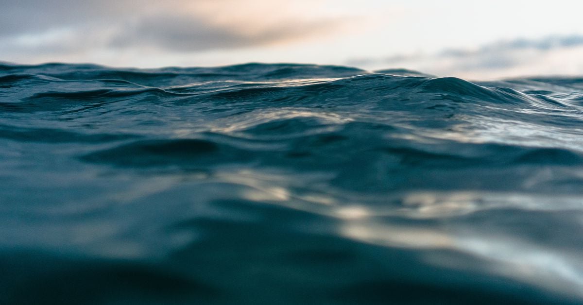 Atmosphere (Shutterstock/CoinDesk)