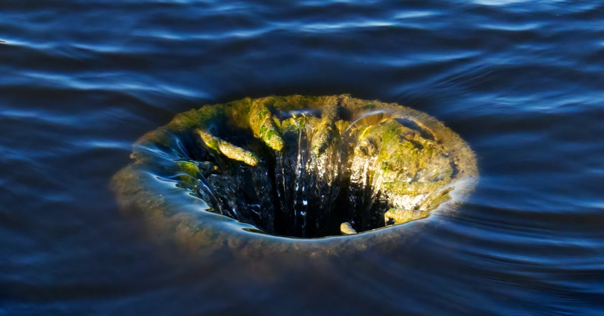 Author placeholder image