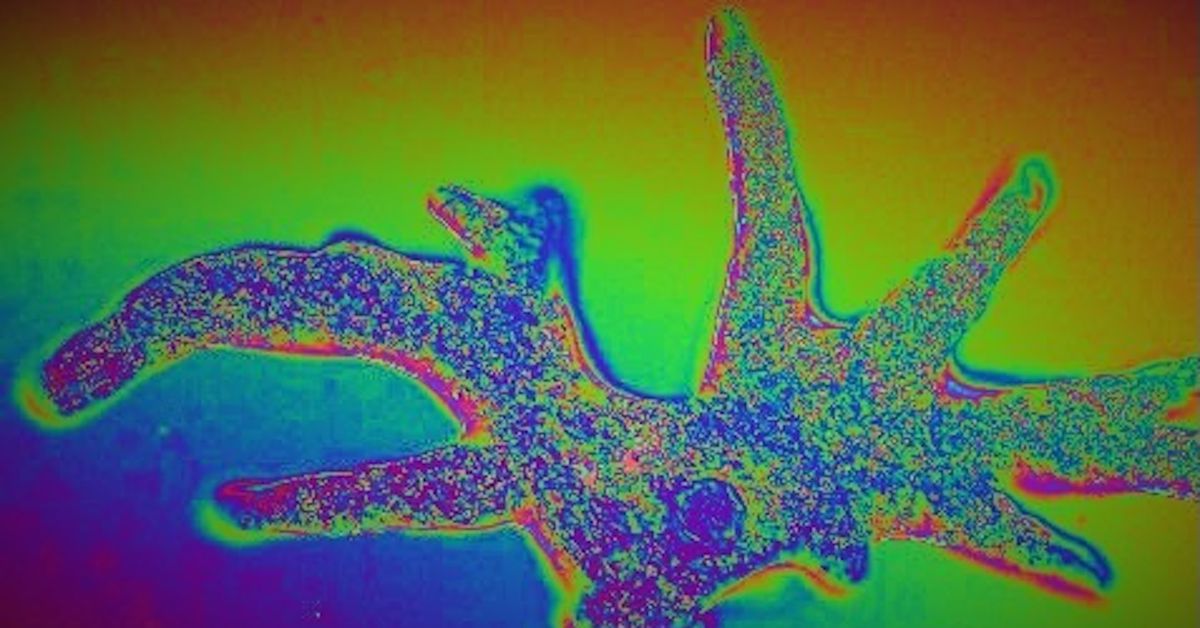 Tyler Spalding, CEO / Co-Founder, Flexa, 2Chainz and Zack Seward, Deputy Editor-in-Chief, CoinDesk