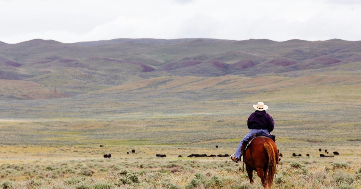 Tyler Spalding, CEO / Co-Founder, Flexa, 2Chainz and Zack Seward, Deputy Editor-in-Chief, CoinDesk