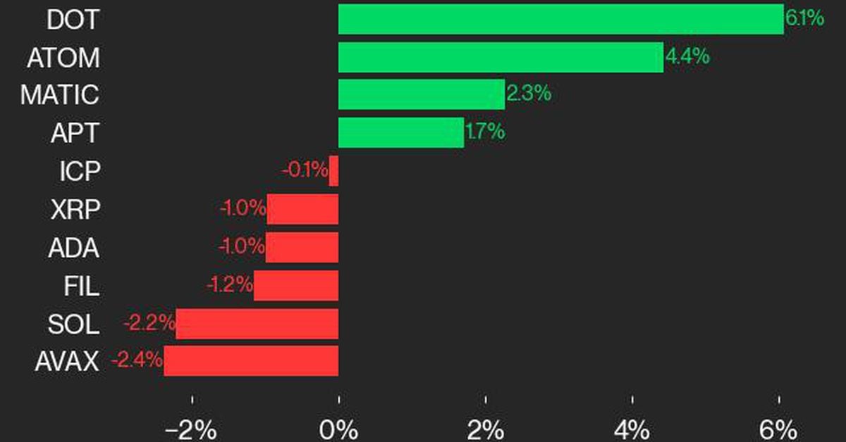 cd20 laggards
