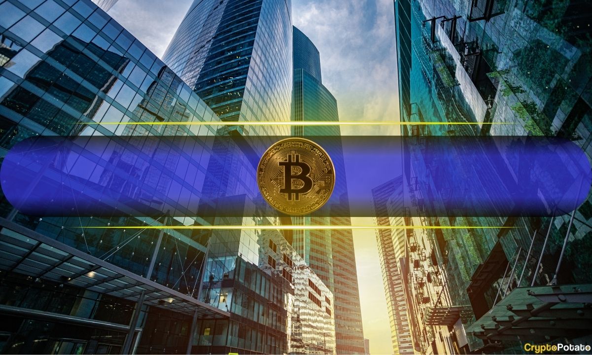 These Bitcoin (BTC) Investors Resume Accumulation Spree After 5-Month Hiatus: Glassnode