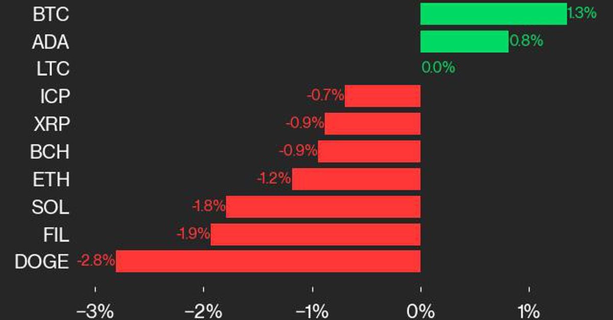cd20 laggards