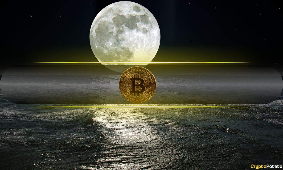 Bitcoin’s Path to $200,000 Doesn't Depend on Dollar's Demise, Claims Bitwise CIO