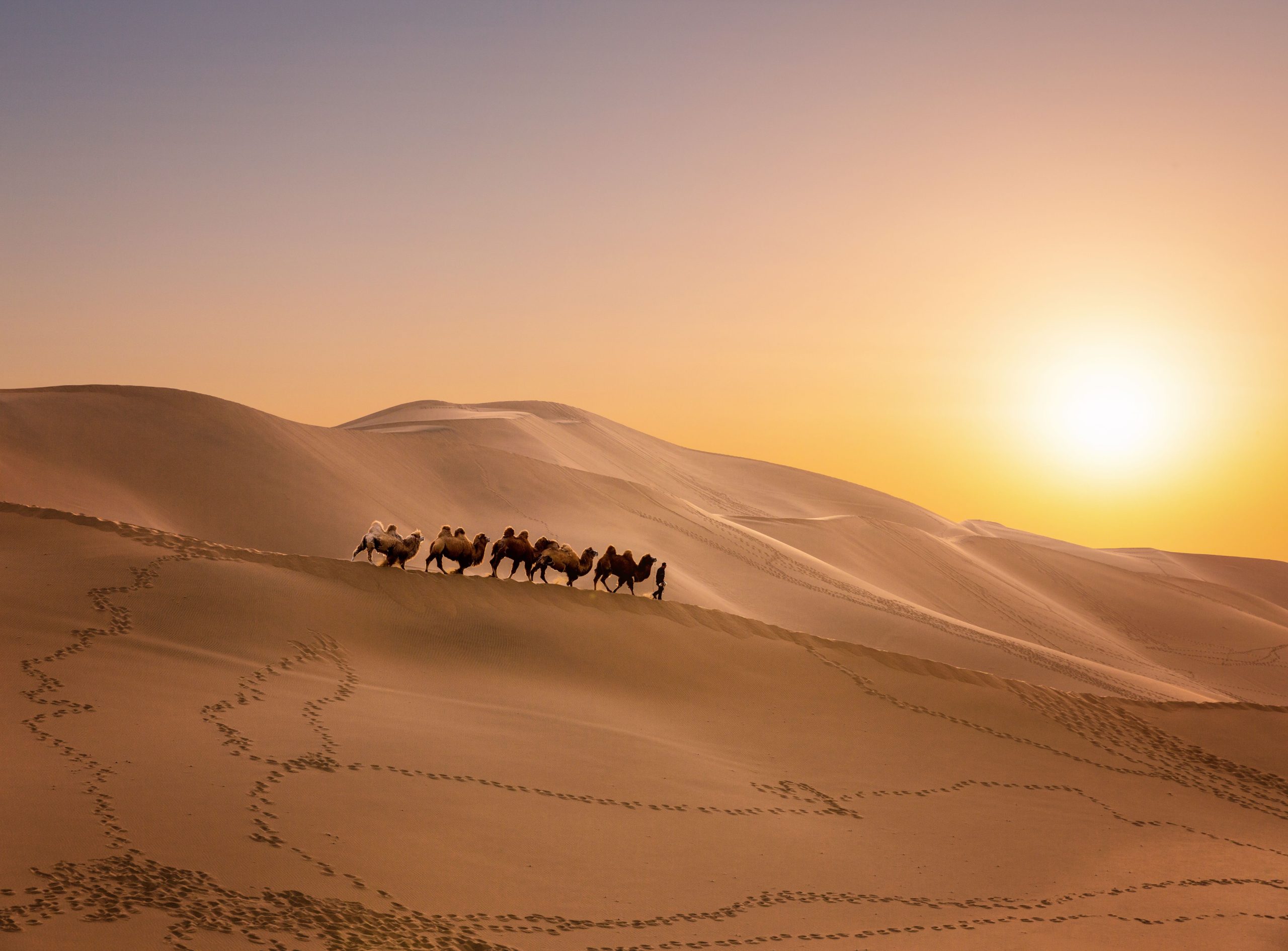 Silk Road