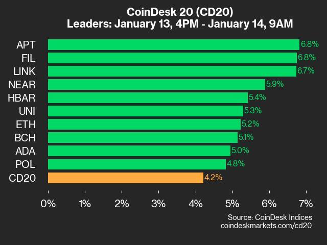 9am CoinDesk 20 Update for 2025-01-14: leaders chart