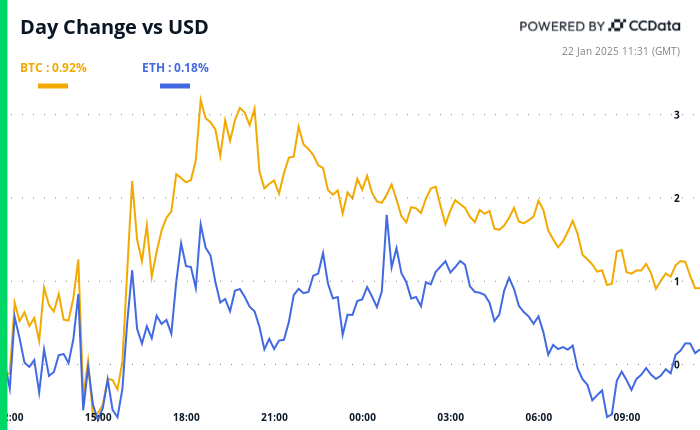 Bitcoin and ether’s 24-hour performance