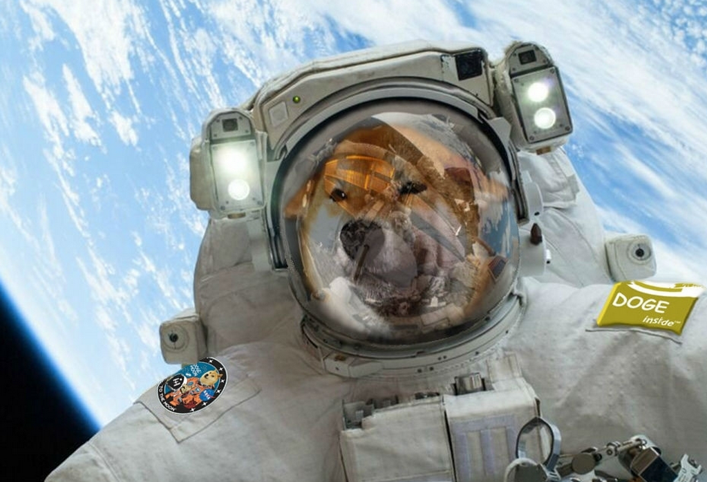 dogecoin moon