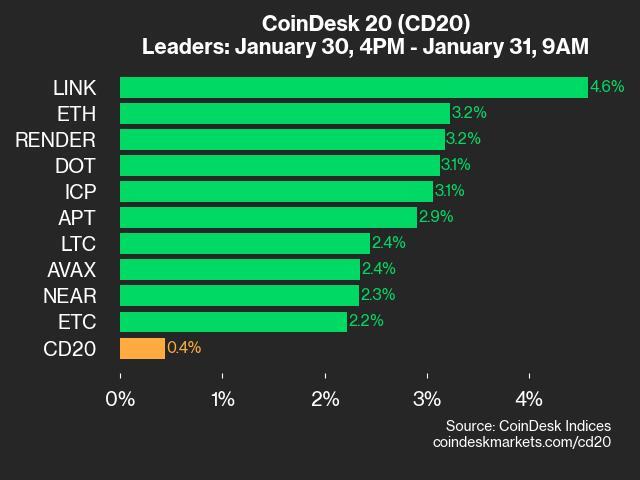 9am CoinDesk 20 Update for 2025-01-31: leaders chart