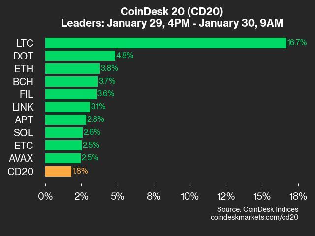9am CoinDesk 20 Update for 2025-01-30: leaders chart