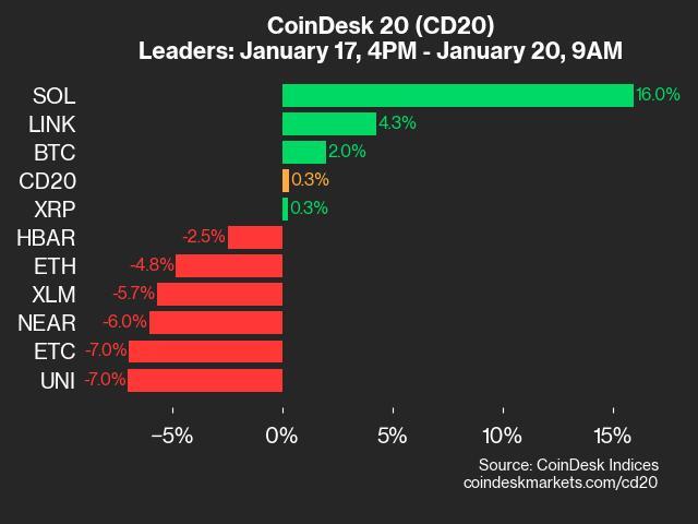 9am CoinDesk 20 Update for 2025-01-20: leaders chart
