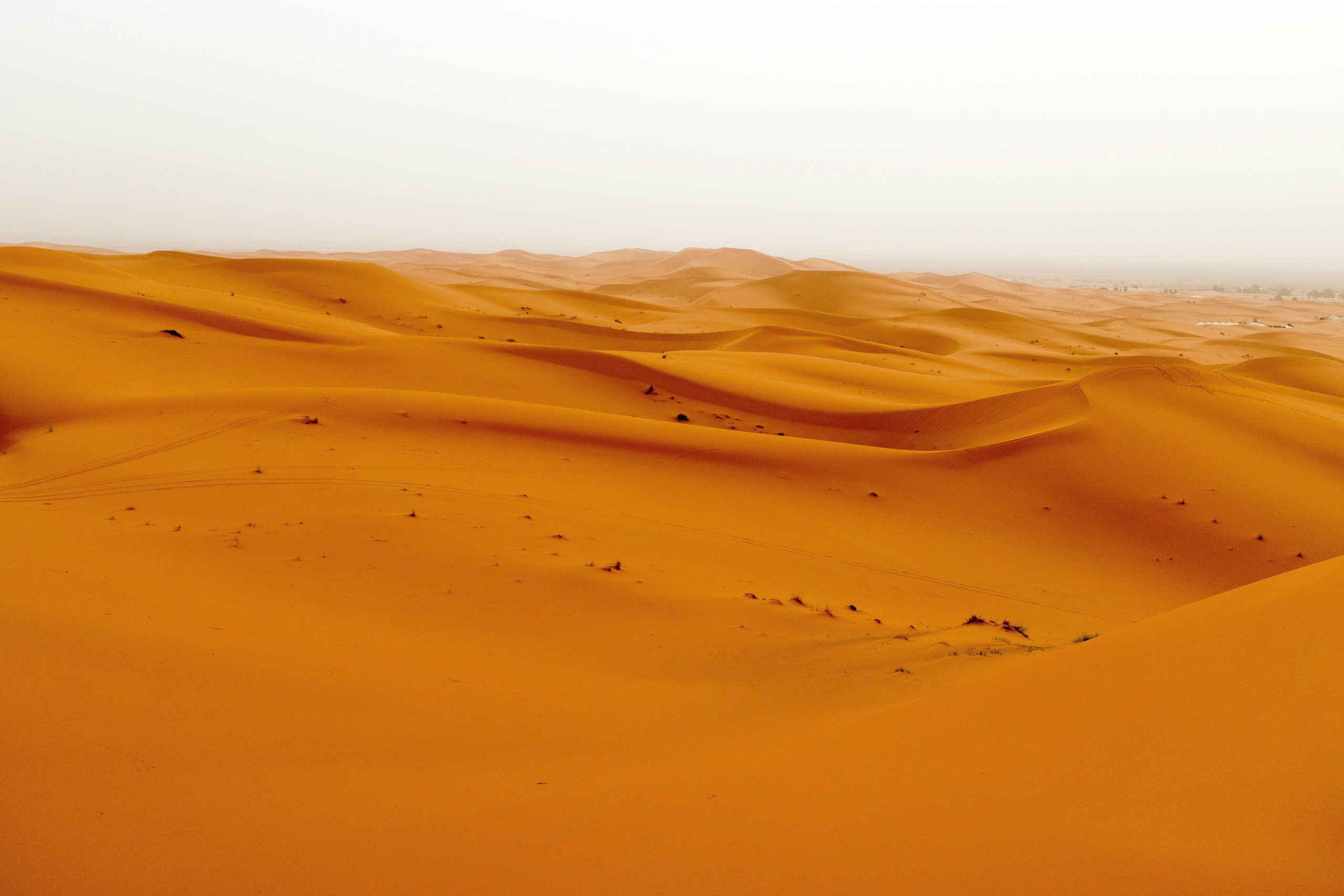 Sandstorm (Unsplash: Oladimeji Odunsi)