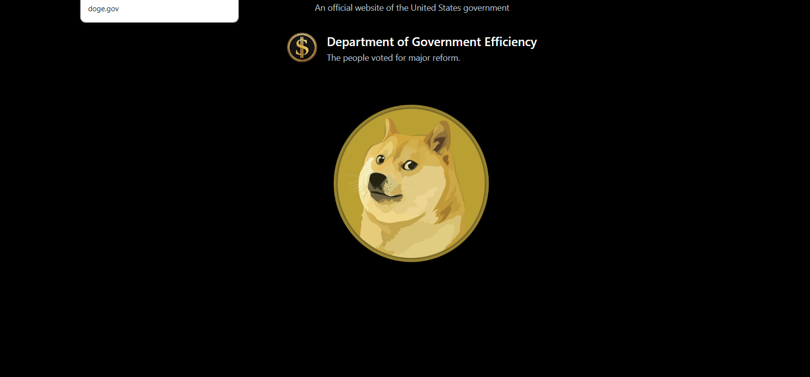 The Department of Government Efficiency website. (Doge.gov)