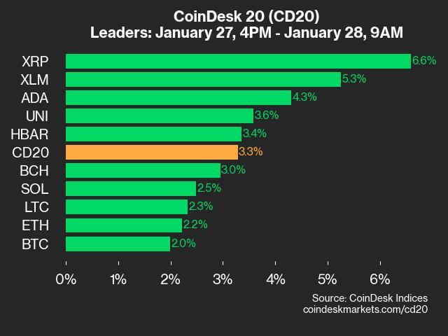 9am CoinDesk 20 Update for 2025-01-28: leaders charts