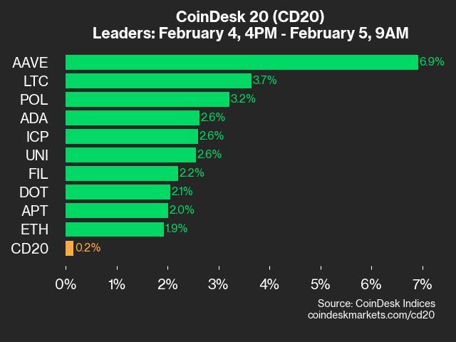 9am CoinDesk 20 Update for 2025-02-05: leaders chart