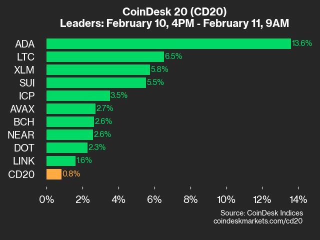 9am CoinDesk 20 Update for 2025-02-11: leaders chart