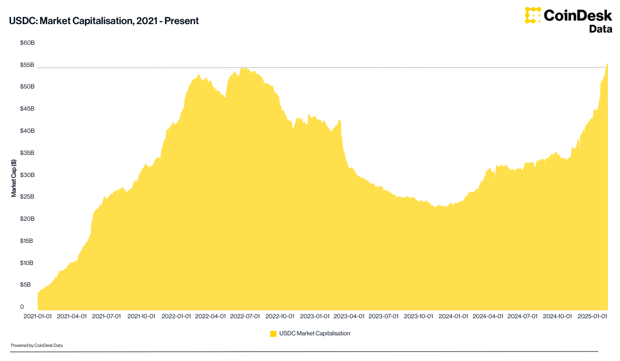 USDC market capitalization (CoinDesk Data)