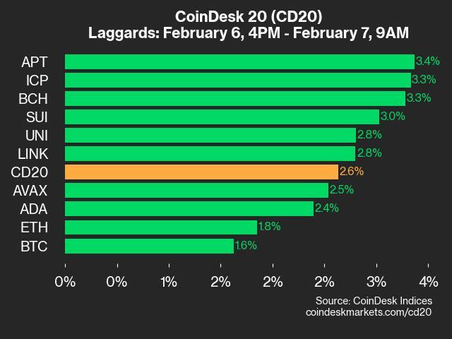 9am CoinDesk 20 Update for 2025-02-07: leaders chart