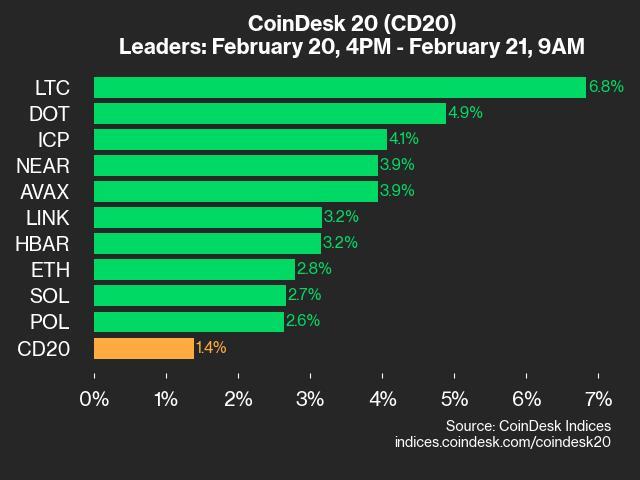 9am CoinDesk 20 Update for 2025-02-21: leaders chart