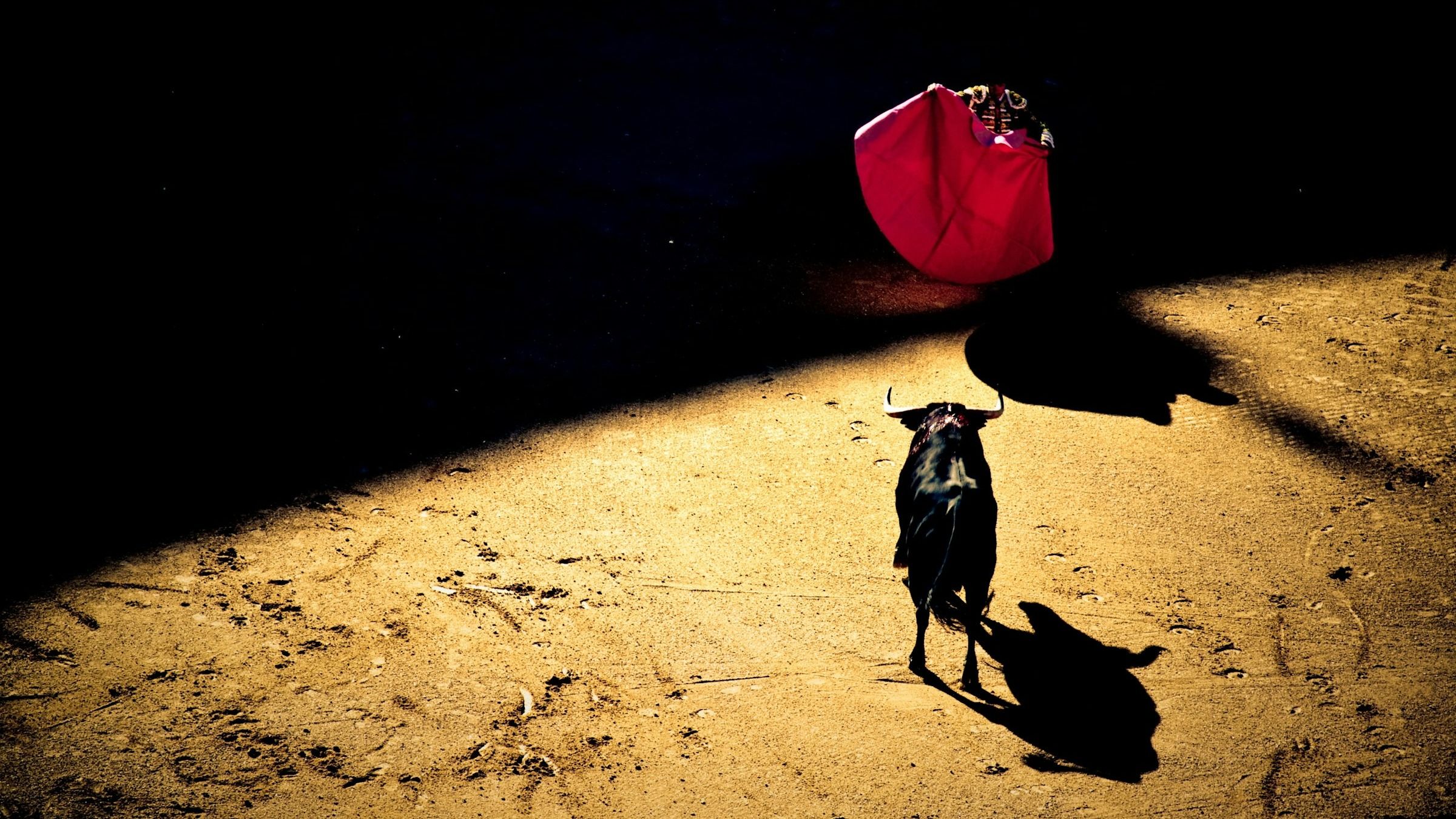 (Giovanni Calia/Unsplash)