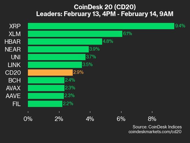9am CoinDesk 20 Update for 2025-02-14: leaders chart