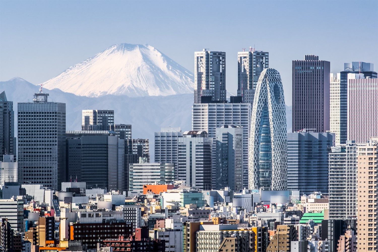 Mt. Fuji from Tokyo (Sakarin Sawasdinaka/Shutterstock)