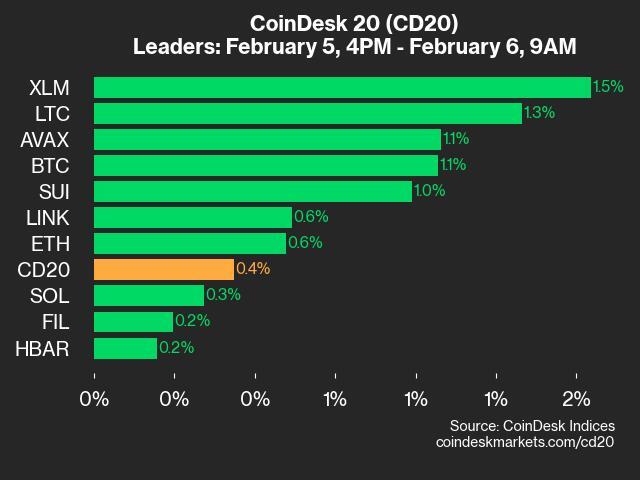 9am CoinDesk 20 Update for 2025-02-06: leaders chart