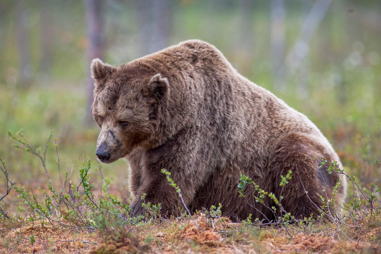 10x Research Recommends Bearish Bet on Bitcoin-Holder MicroStrategy as MSTR Diverges from BTC's Bull Run