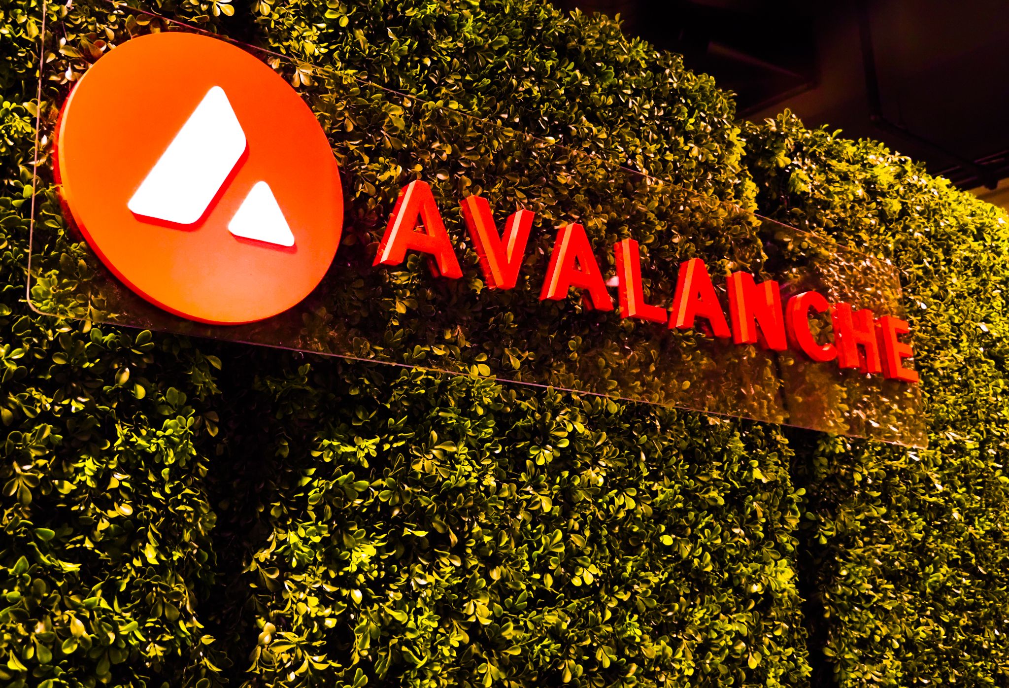 A New Jersey County to Tokenize $240B Property Records on Avalanche