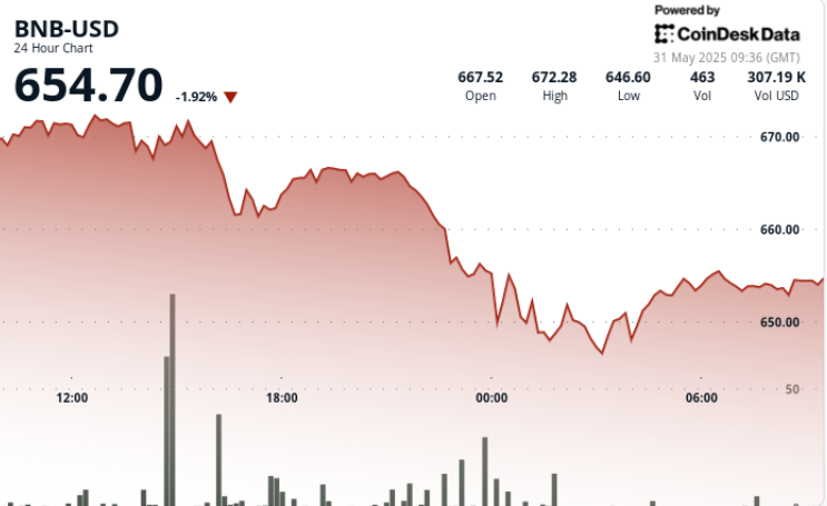 BNB Down 4% as Global Trade Tensions Overshadow SEC Victory