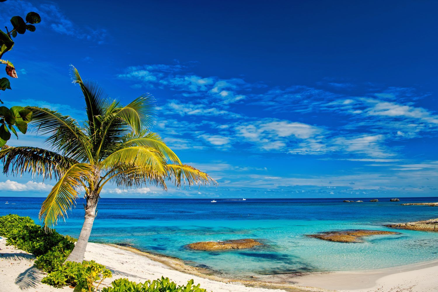 Dreamy Maldives Turns to Crypto to Solve Mounting Debt Crisis
