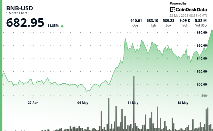 Ecosystem Activity Surges Amid Market Optimism