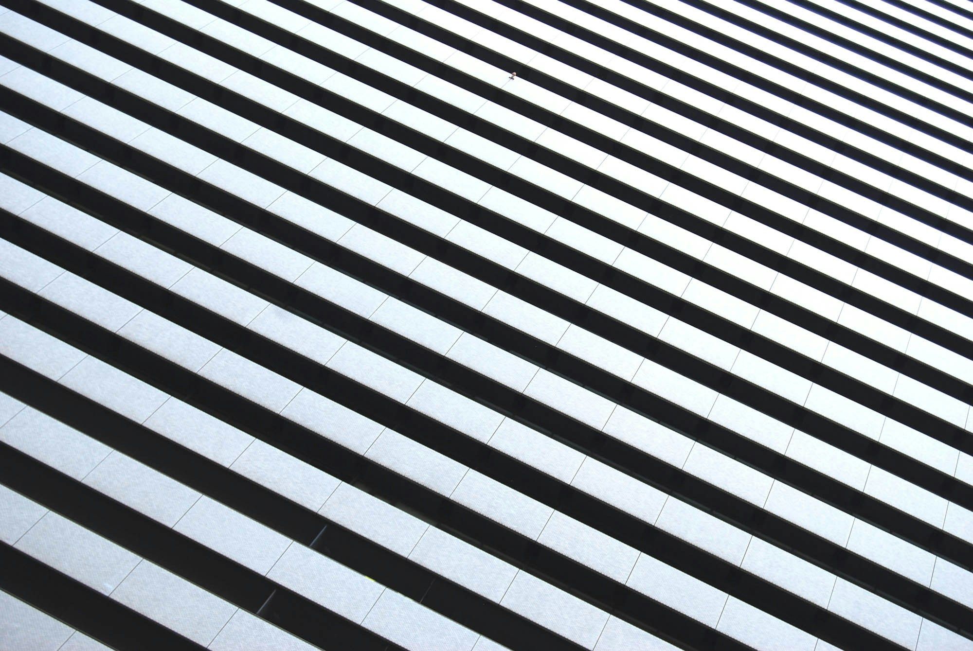 Stripe Unveils Payments Products Powered by "Gale-Force Tailwind" Stablecoins