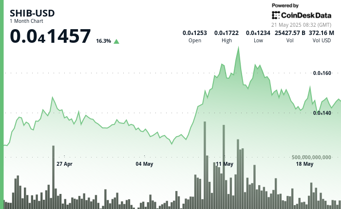 Whales Exit as Bulls Lose Momentum