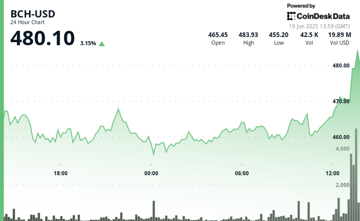 BCH Hits $480 After Volume Surges 22% Above 30-Day Average During Crypto Rebound