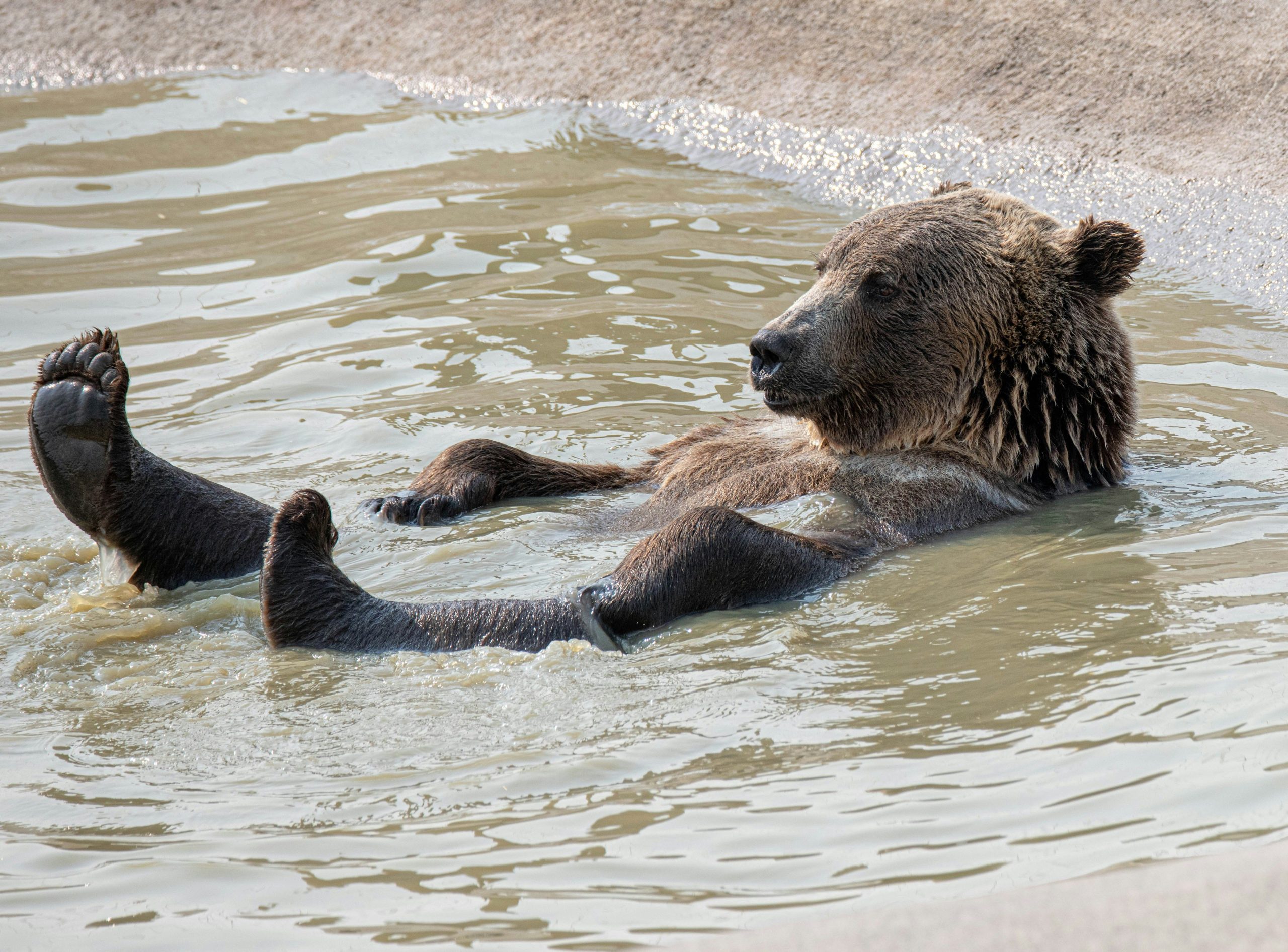 Crypto Daybook Americas: Bitcoin Faces Bearish June Seasonality as ETF Flows Slow