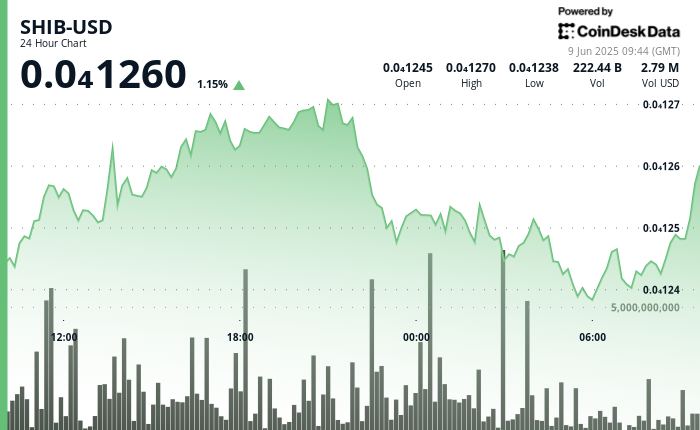 Downtrend Intact as Daily Burn Rate Tanks by 63%