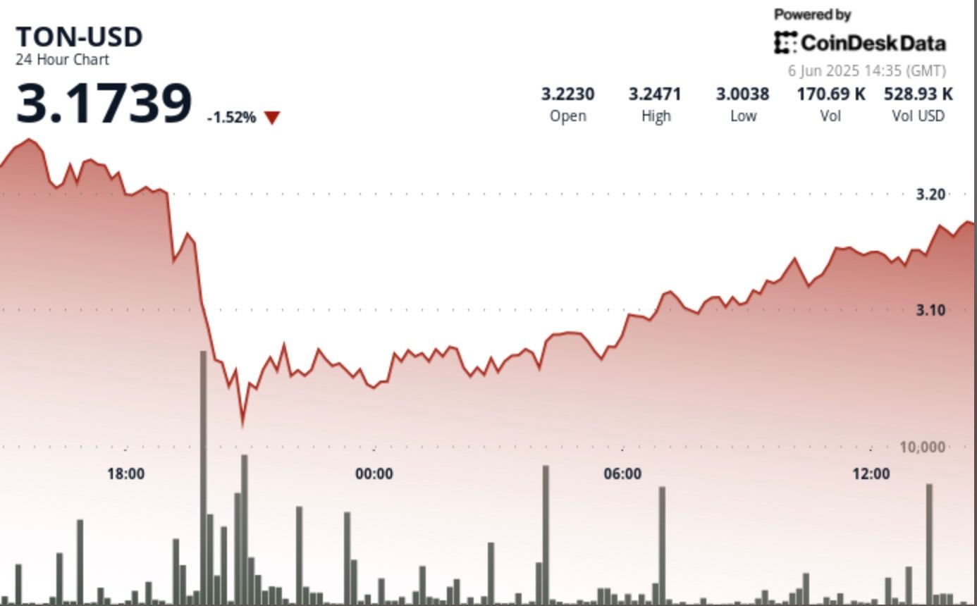 TON Finds 'Strong Support' at $3.00 Level Amid Wild Crypto Price Swings