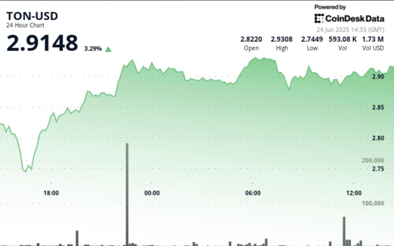 TON Up 3% After Volatile Session, Establishes New Support Level