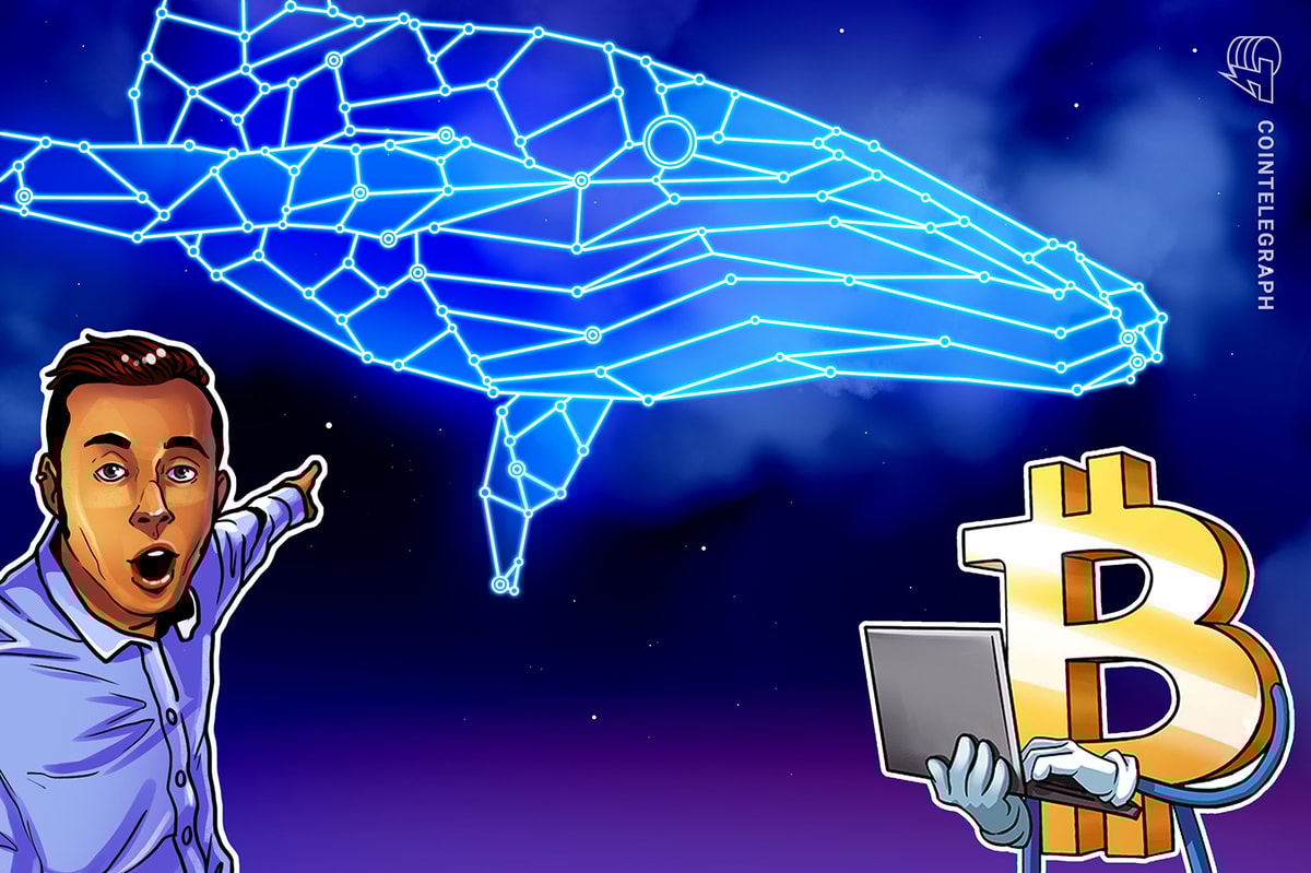 Bitcoin Whale’s $9B transfer, Genius Act sparks Correction Concerns