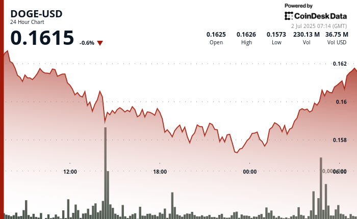 Dogecoin Rebounds After Forming 'Double Bottom'