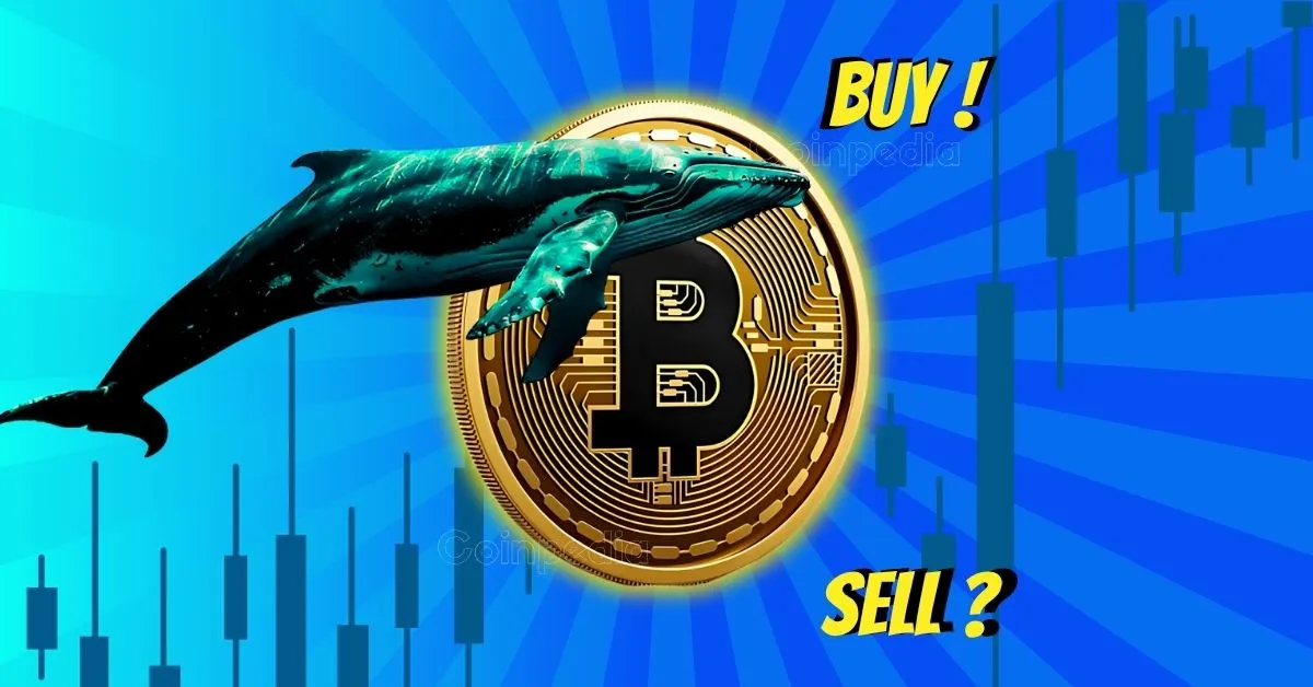 Coinpedia - Fintech & Cryptocurreny News Media