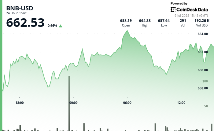 Why is BNB Up Today Faster Blocks and Tokenized Stocks Spark Investor Interest