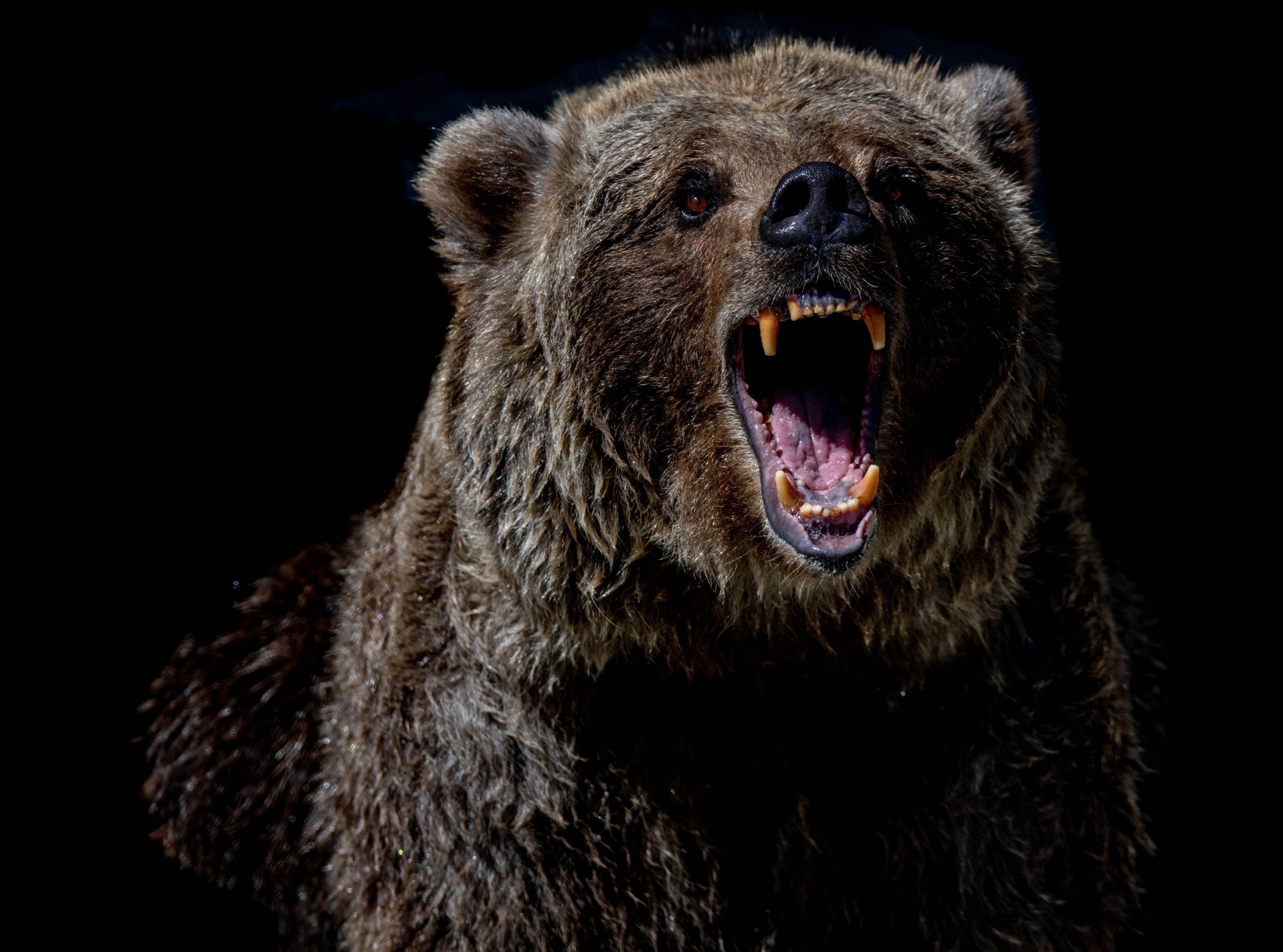 BTC, ETH, DOGE Price News: Declines Pick Up Speed